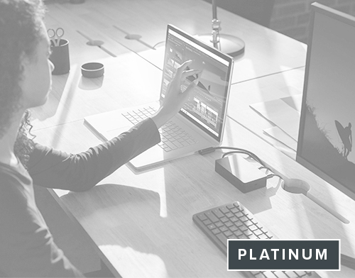 Platinum Support Plan Lifestyle